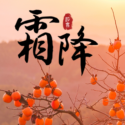 霜降节气秋天柿子实景大气简约公众号次图 模板ID：22899