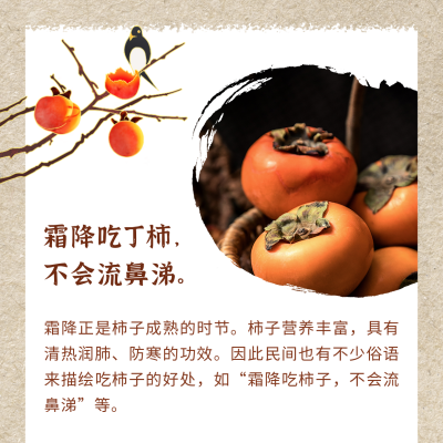 霜降节气习俗吃柿子简约中国风方形海报 模板ID:22911