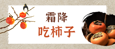 霜降节气习俗吃柿子简约中国风公众号首图 模板ID:22913