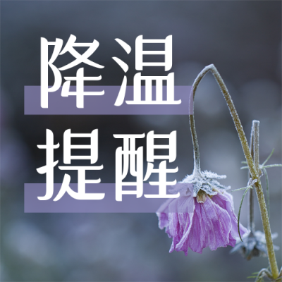 降温提醒简约实景蓝色公众号封面次图 模板ID:22922