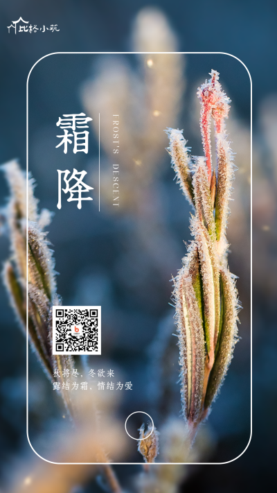 简约霜降节气手机海报 模板ID：23101