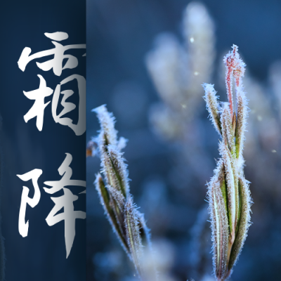 霜降节气公众号次图 模板ID：23098