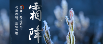 霜降节气公众号首图 模板ID：23096