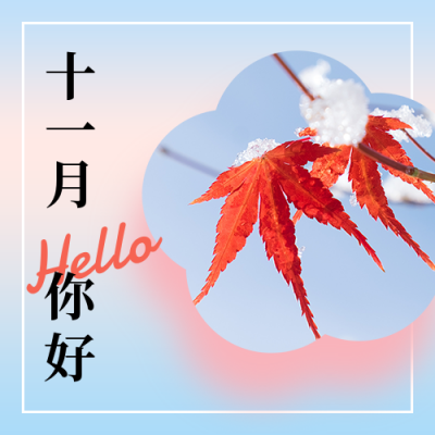 11月你好问候日签简约清新蓝色公众号次图 模板ID:23350