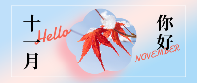 11月你好问候日签简约清新蓝色公众号首图 模板ID:23351