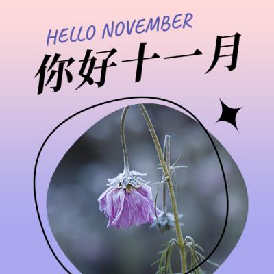 11月你好问候日签简约清新紫色酸性风公众号次图 模板ID:23349