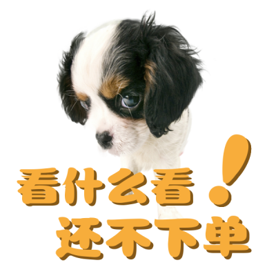 双十一小狗趣味可爱表情包 模板ID：23473