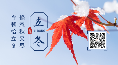 立冬节气冬季枫叶实景简约清新二维码 模板ID：23617