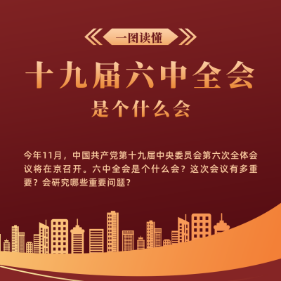 政务十九届六中全会图解方形海报 模板ID：24327