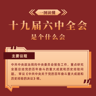政务十九届六中全会一图读懂方形海报 模板ID：24326