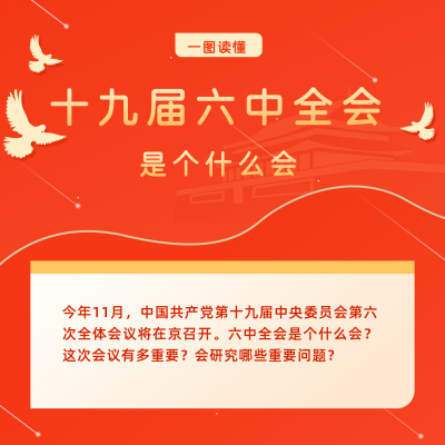 政务图解十九届六中全会宣传方形海报 模板ID：24321