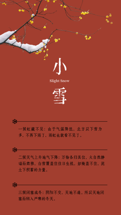 小雪大雪节气冬季中国风简约竖版配图 模板ID：24489
