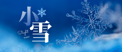 小雪大雪节气冬季雪花特写实景公众号首图 模板ID：24498