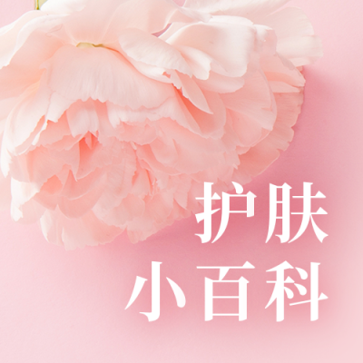 美容护肤百科简约浪漫通用公众号次图 模板ID:24579