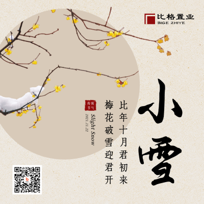 小雪大雪节气冬季简约地产中国风方形海报 模板ID:24774