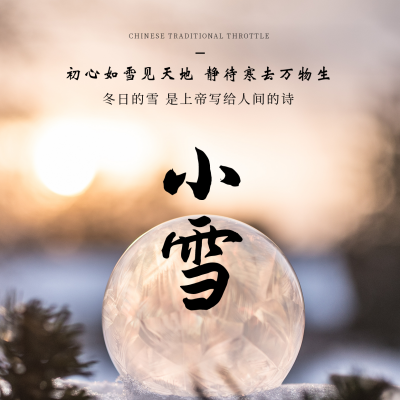 小雪节气实景雪球方形海报 模板ID：24966