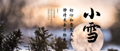 小雪节气实景雪球公众号首图 模板ID:24964