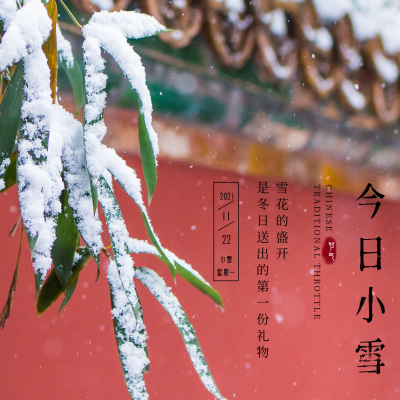 小雪实景节气方形海报 模板ID：24961