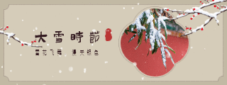 手绘冬季大雪小雪节气雪景动态胶囊banner 模板ID:25036