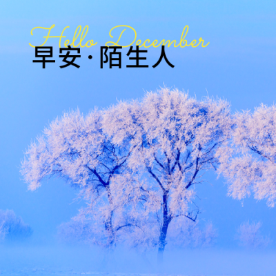 12月你好早安日签简约清新冬天实景公众号次图 模板ID：25423