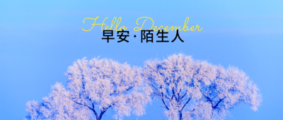 12月你好早安日签简约清新冬天实景公众号首图 模板ID：25425
