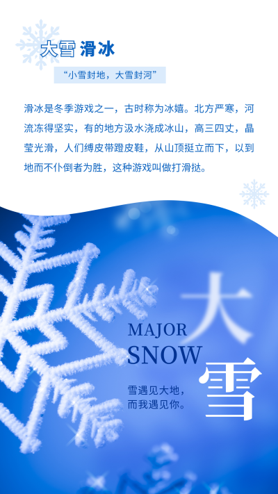 大雪小雪节气冬天雪花简约实景竖版配图 模板ID：25572