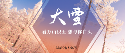 大雪小雪节气冬天简约大气实景公众号首图 模板ID:25584