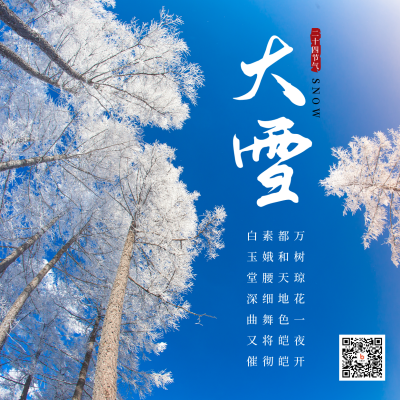 大雪小雪节气冬天雪景简约大气方形海报 模板ID：25582