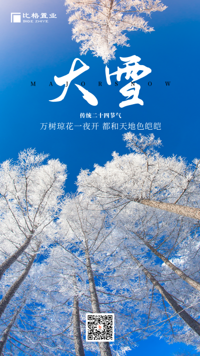 大雪小雪节气冬天雪景简约大气手机海报 模板ID:25579