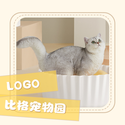 萌宠猫咪养育百科科普公众号次图 模板ID：25821