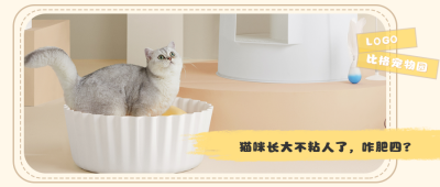 萌宠猫咪养育百科科普公众号首图 模板ID：25820