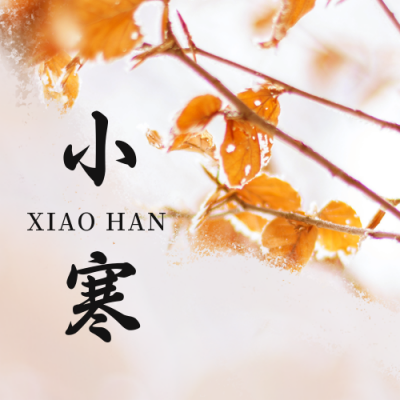 冬季雪景小寒节气公众号封面次图 模板ID：27038