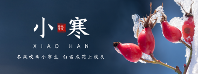 冬季实景小寒节气胶囊banner 模板ID：27284