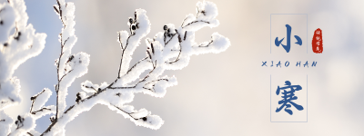 文艺清新冬季雪景小寒节气胶囊banner 模板ID：27287
