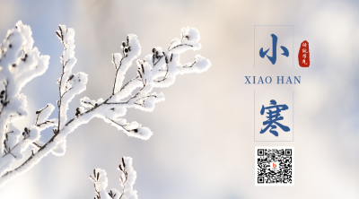 冬季唯美文艺小寒节气二维码 模板ID:27274