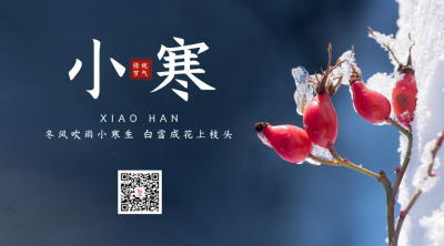 文艺唯美冬季实景小寒节气二维码 模板ID:27263