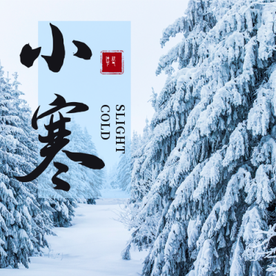简约雪景小寒节气公众号次图 模板ID：27412