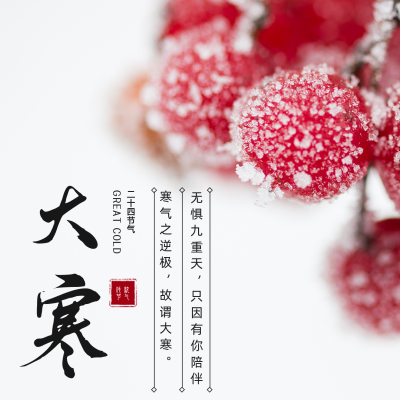 简约实景大寒节气祝福方形海报 模板ID：27778