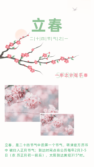 手绘春天立春节气花朵盛开动态竖版配图 模板ID：28237