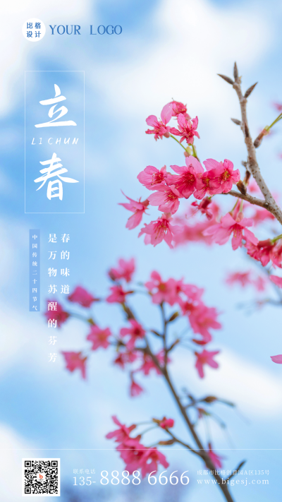 春天立春春分实景节气手机海报 模板ID:28404