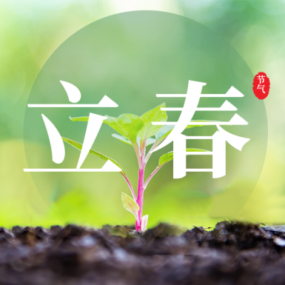 春天植物发芽立春公众号封面次图 模板ID：28463
