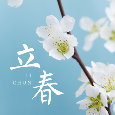 立春简约实景花朵蓝色公众号次图 模板ID：28504