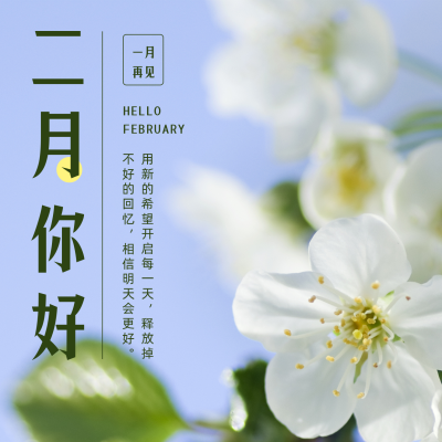 二月你好月初问候实景方形海报 模板ID:28658