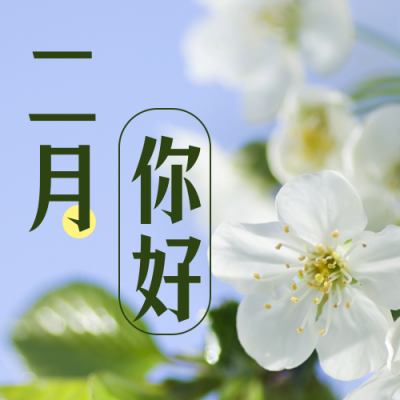 二月你好月初问候实景公众号次图 模板ID：28657