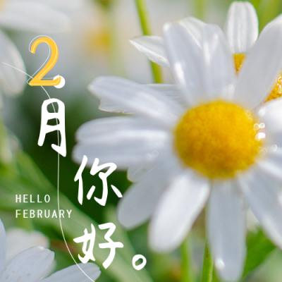二月你好月初问候实景小雏菊公众号次图 模板ID：28651