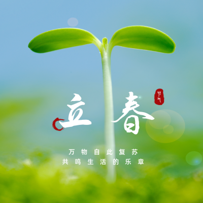 立春实景嫩芽方形海报 模板ID：28644