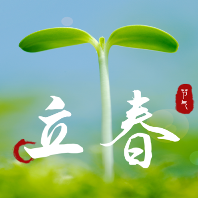 立春实景嫩芽公众号次图 模板ID：28642