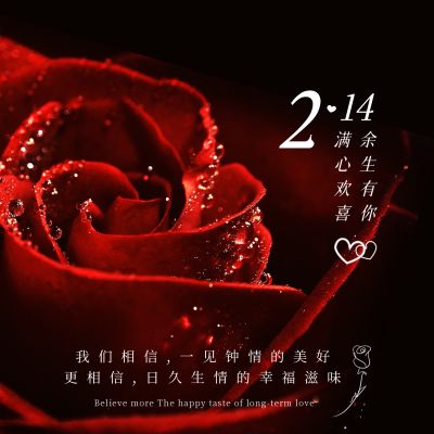 简约实景情人节玫瑰告白方形海报 模板ID:29075