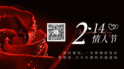 简约实景情人节玫瑰告白关注二维码 模板ID：29072