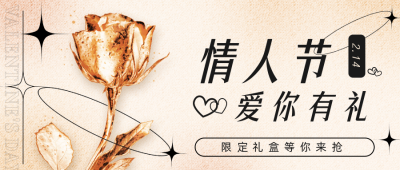 情人节金属玫瑰活动促销公众号首图 模板ID：29050